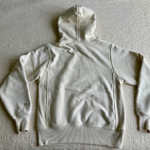 Champion UO Exclusive Natural State Hoodie Sweatshirt, Small - Picture 5 of 8
